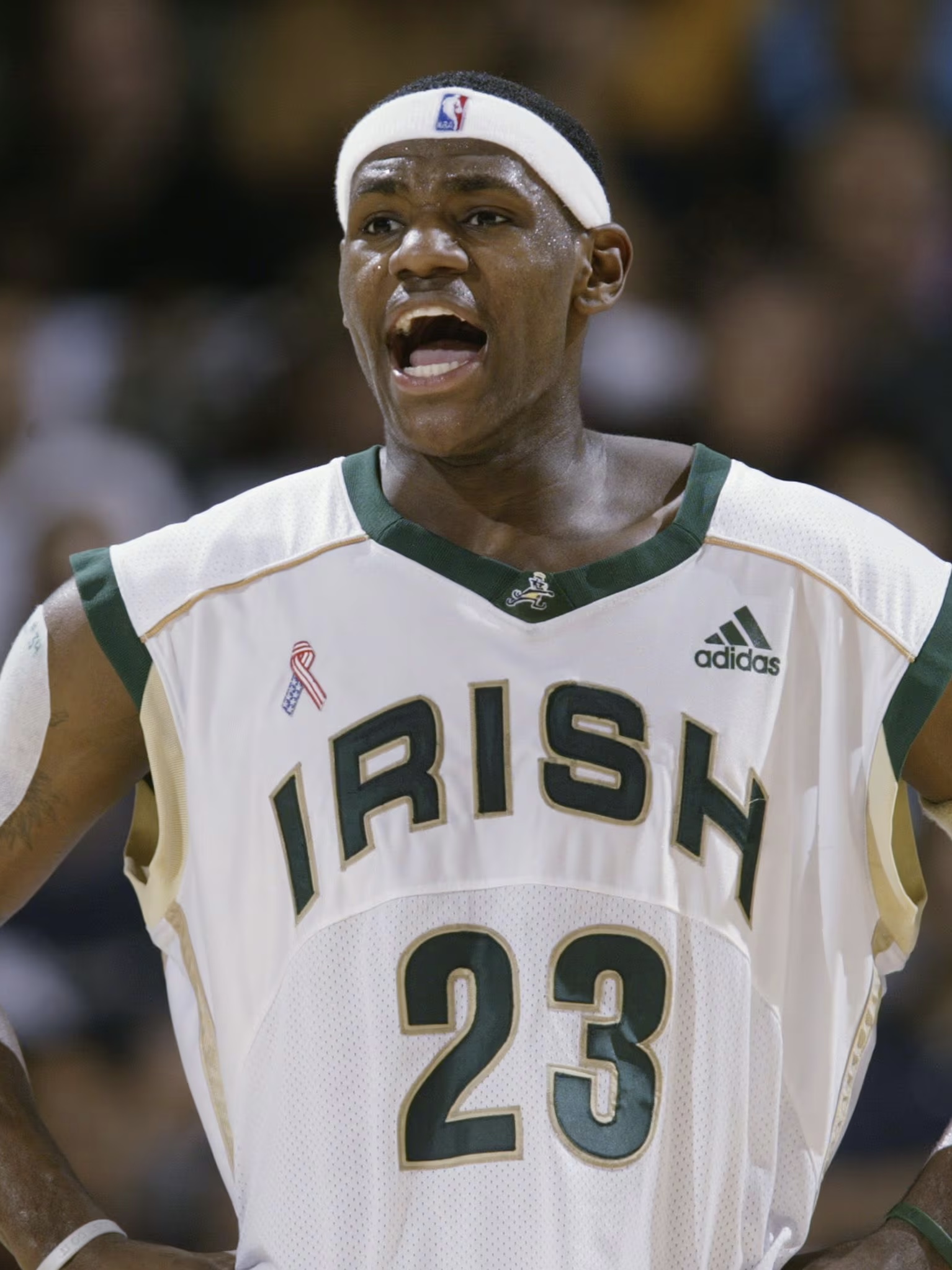 新秀球员成名，被视作未来之星