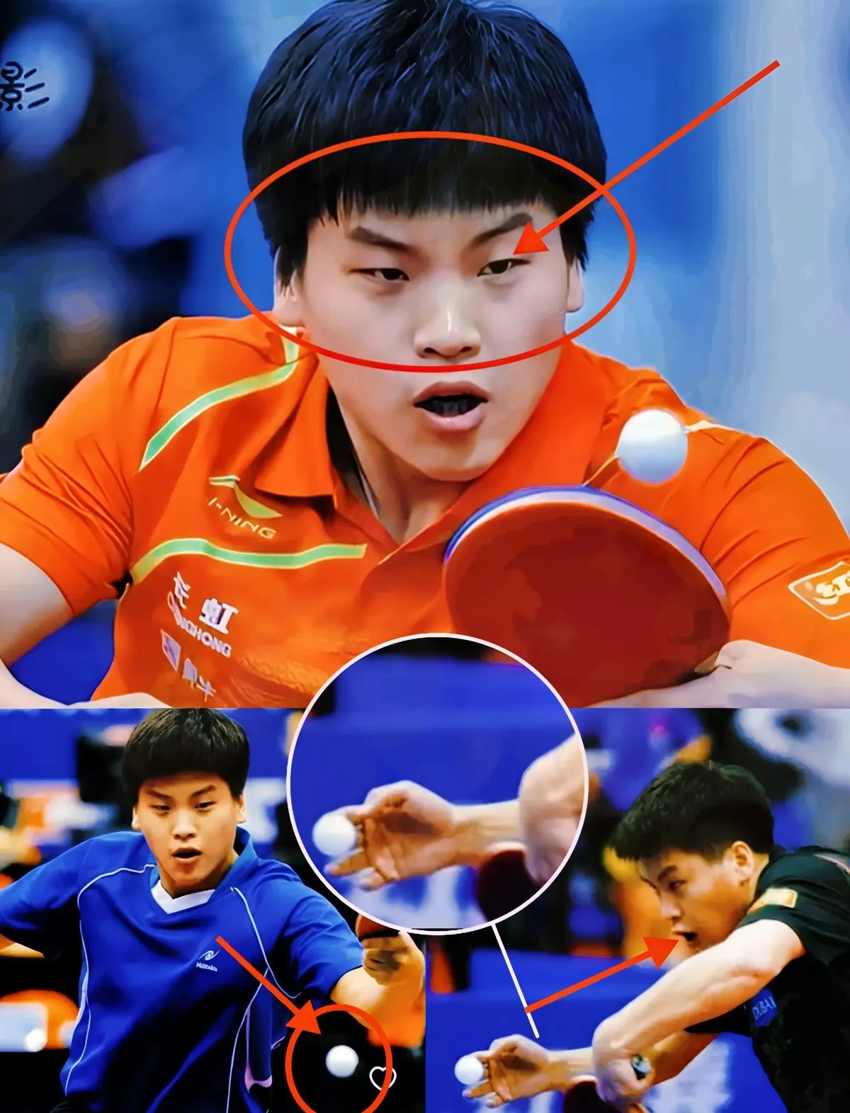 波兰乒乓球队险胜日本乒乓球队，张继科打破历史纪录的简单介绍