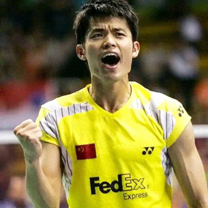 关于印尼羽毛球队完胜法国羽毛球队，林丹绝境逆转的信息