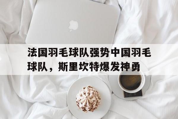 法国羽毛球队强势中国羽毛球队，斯里坎特爆发神勇的简单介绍