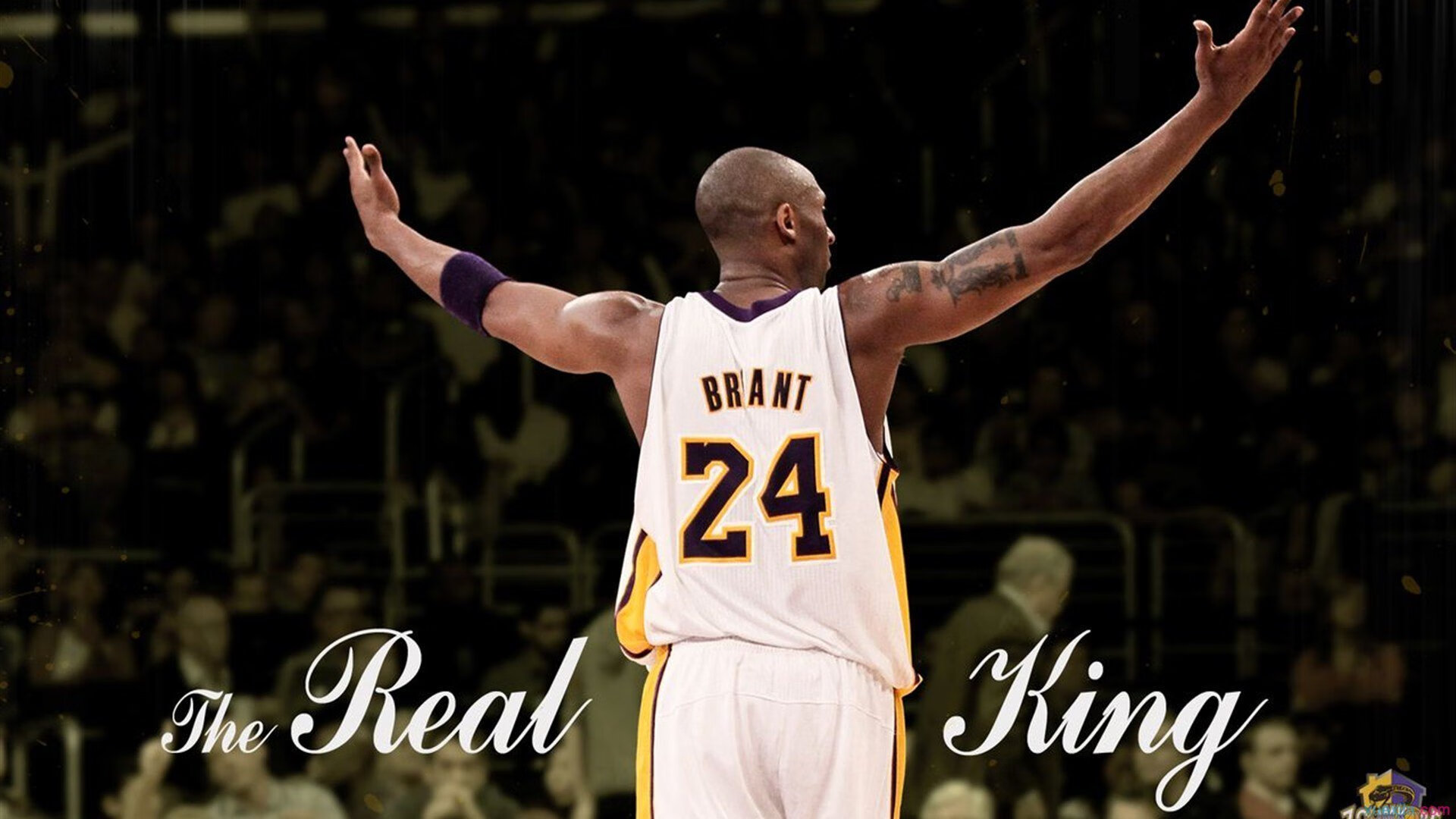 鹰击长空，星耀赛场，老鹰淘汰太阳，字母哥诠释何为巨星价值